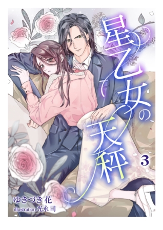 星乙女の天秤（3）