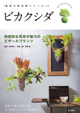 ビカクシダ