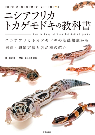 ニシアフリカトカゲモドキの教科書