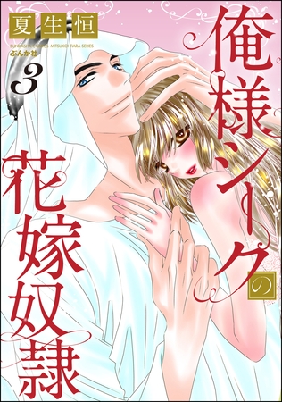 俺様シークの花嫁奴○　（3）