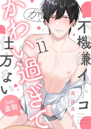 不機嫌イトコがかわい過ぎて仕方ない(11)　side直樹