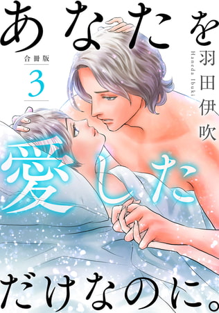 あなたを愛しただけなのに。合冊版 3巻