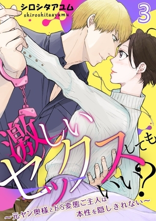 激しいセックスしてもいい?～元ヤン奥様とドS変態ご主人は本性を隠しきれない～ 3巻