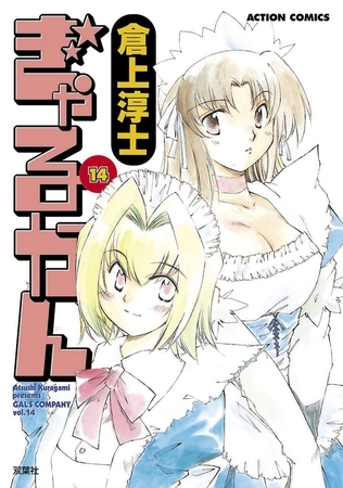 ぎゃるかん 14