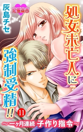 処女未亡人に強○受精!!～一ヶ月連続子作り指令～ ： 11