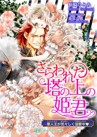 さらわれた塔の上の姫君　〜軍人王が荒々しく溺愛中ｖ〜