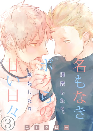 名もなきボクらの甘い日々～溺愛したり、嫉妬したり～ 3巻