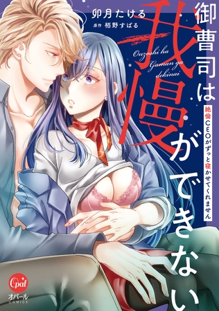 御曹司は我慢ができない 絶倫ＣＥＯがずっと寝かせてくれません【単行本版】【電子限定ペーパー付】