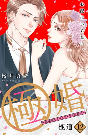 極婚～超溺愛ヤクザとケイヤク結婚！？～　分冊版（１２）