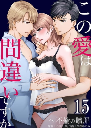 この愛は間違いですか～不倫の贖罪 15