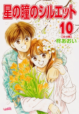 星の瞳のシルエット 10巻