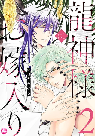龍神様にお嫁入り【単行本版】【電子書店特典付き】 2巻