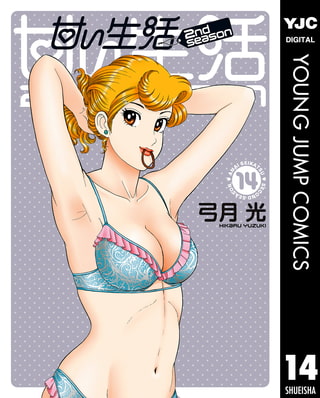 甘い生活 2nd season 14