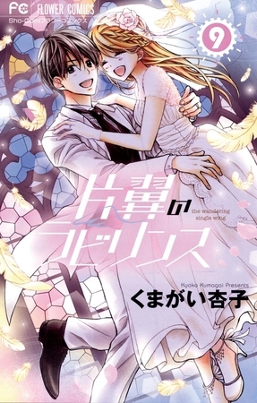 片翼のラビリンス ９