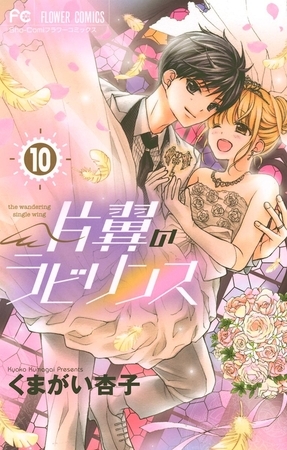 片翼のラビリンス １０