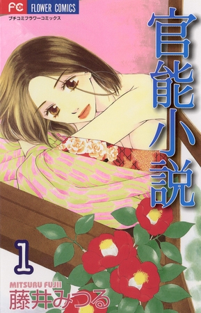 官能小説 1