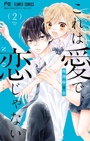 これは愛で、恋じゃない 2