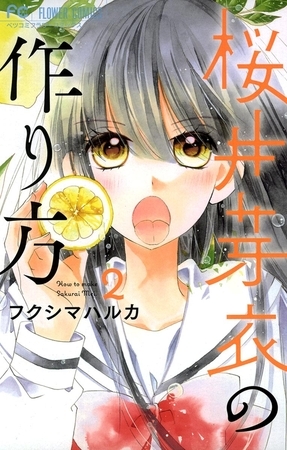 桜井芽衣の作り方 2