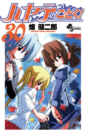 ハヤテのごとく! ３０