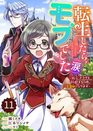 Berry’sFantasy転生したら、モブでした（涙）～死亡フラグを回避するため、薬師になります～11巻