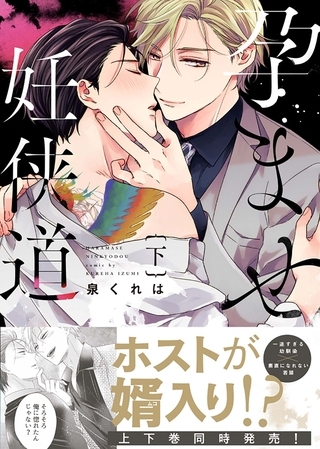 【特装版】孕ませ妊侠道下【電子限定おまけ付き】